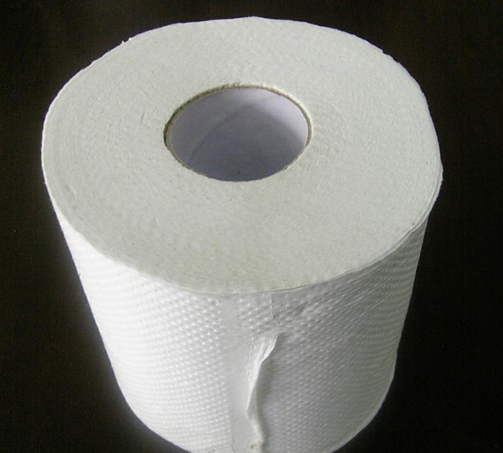 TOILET PAPER 100% RECYCLED 2PLY 500SH