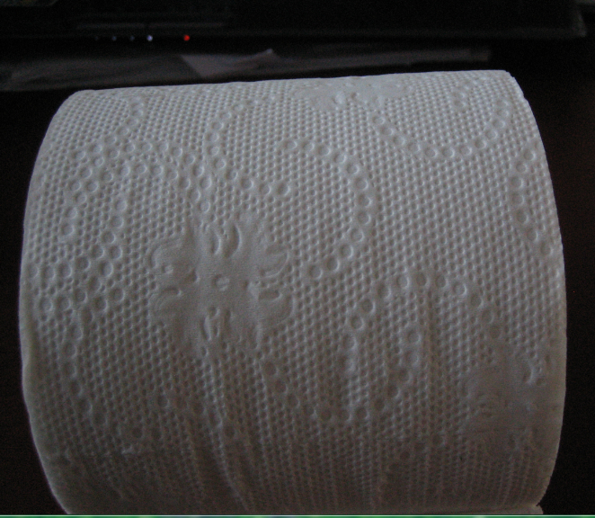 TOILET PAPER 100% RECYCLED 1PLY 1000SH